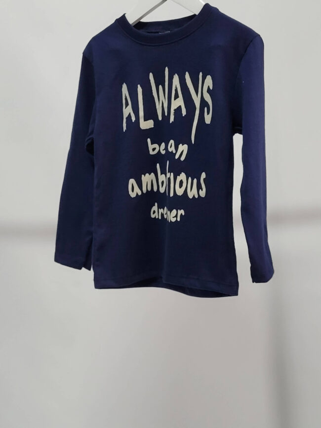 Remera Manga Larga Dreamer